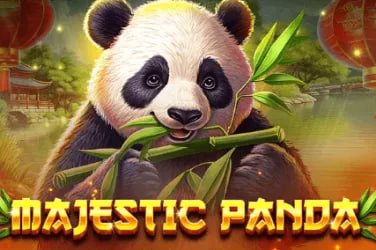Giao diện app kqxskg cho cá cược thể thao và casino hiện đại